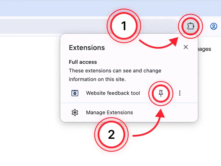 Installing and pinning the extension in Chrome